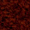 walnut.gif