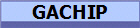 GACHIP