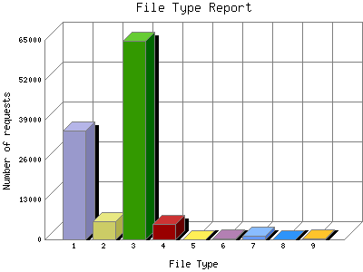 File Type Report: Number of requests by File Type.