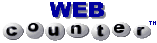 Web counter button