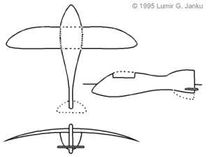 Benu bird flying model