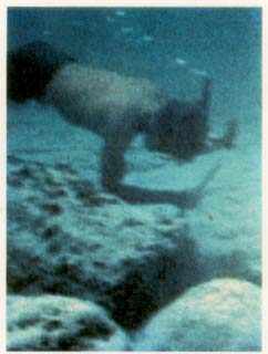 underwater remains at Bimini