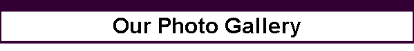 Our Photo Gallery
